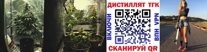 ОМГ ОМГ как зайти  Партизанск  Дистиллят ТГК THC oil 