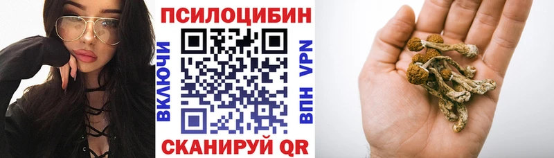 Галлюциногенные грибы прущие грибы  mega зеркало  Партизанск 